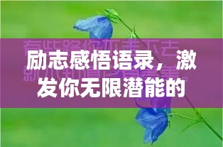 勵(lì)志感悟語(yǔ)錄，激發(fā)你無(wú)限潛能的深層啟示