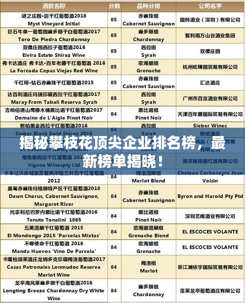 揭秘攀枝花頂尖企業(yè)排名榜，最新榜單揭曉！