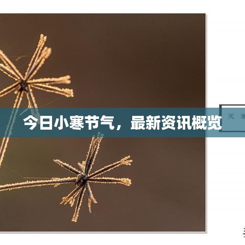 筆走如飛