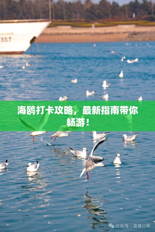 草創(chuàng)未就