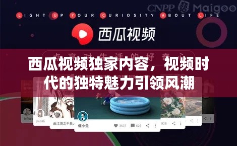 西瓜視頻獨家內(nèi)容，視頻時代的獨特魅力引領(lǐng)風潮