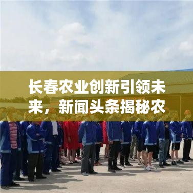 兵貴神速