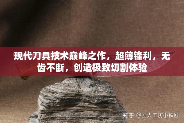 囊螢映雪