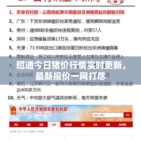 昭通今日豬價(jià)行情實(shí)時(shí)更新，最新報(bào)價(jià)一網(wǎng)打盡