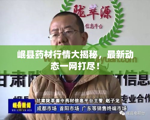 岷縣藥材行情大揭秘，最新動態(tài)一網(wǎng)打盡！
