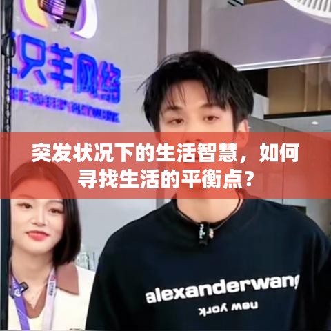 狗尾續(xù)貂
