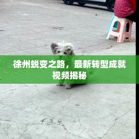 徐州蛻變之路，最新轉(zhuǎn)型成就視頻揭秘