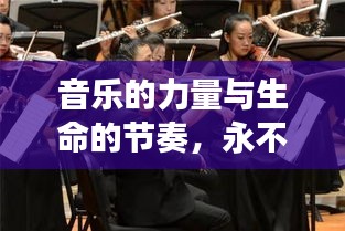 貴險(xiǎn)賤璧