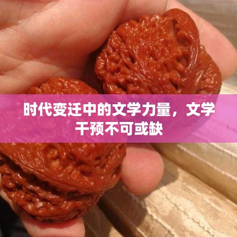 時代變遷中的文學(xué)力量，文學(xué)干預(yù)不可或缺