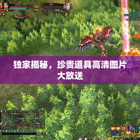 獨(dú)家揭秘，珍貴道具高清圖片大放送