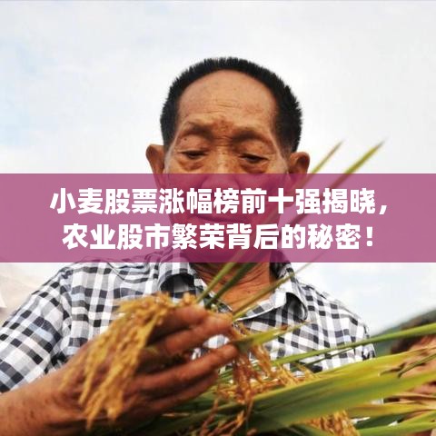 2025年5月 第6頁