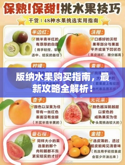 版納水果購買指南，最新攻略全解析！