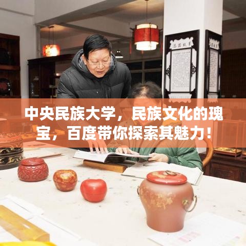 中央民族大學(xué)，民族文化的瑰寶，百度帶你探索其魅力！