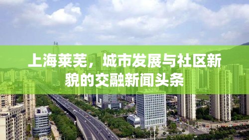 上海萊蕪，城市發(fā)展與社區(qū)新貌的交融新聞頭條