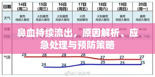 鼻血持續(xù)流出，原因解析、應(yīng)急處理與預(yù)防策略