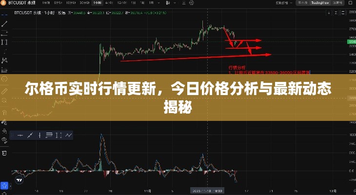 爾格幣實時行情更新，今日價格分析與最新動態(tài)揭秘