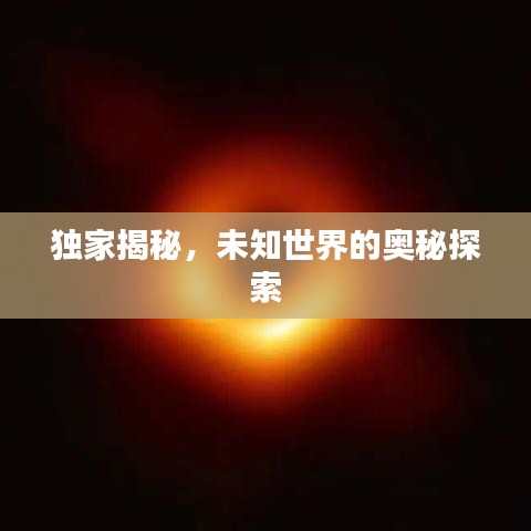 獨家揭秘，未知世界的奧秘探索