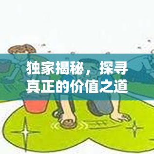 獨(dú)家揭秘，探尋真正的價(jià)值之道
