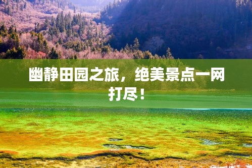 自由自在