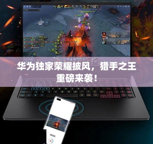 侃侃而談