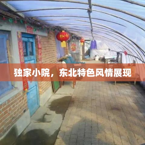 眼空四海
