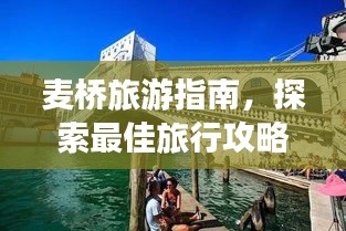明夷于飛