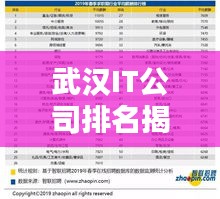 武漢IT公司排名揭秘，十大領(lǐng)先企業(yè)榜單