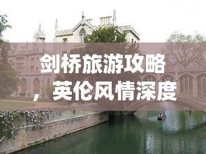 飛揚撥扈