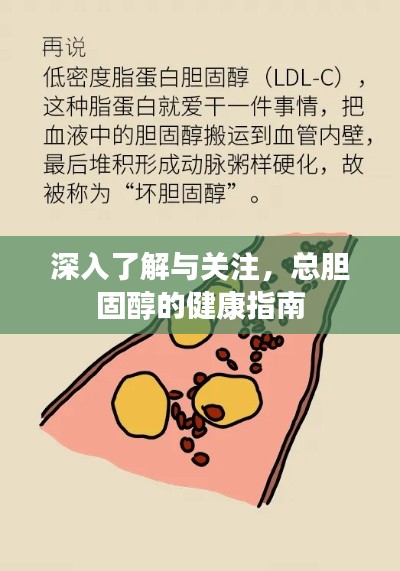 百年不遇