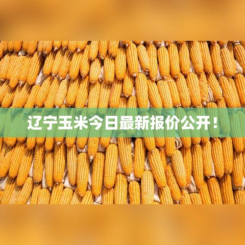 風(fēng)馳電掣