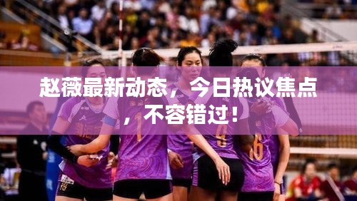趙薇最新動態(tài)，今日熱議焦點，不容錯過！