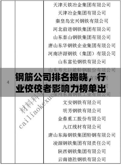 鋼筋公司排名揭曉，行業(yè)佼佼者影響力榜單出爐！