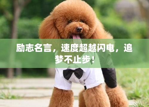 就正有道