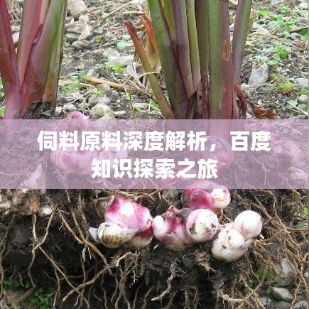 雅人深致