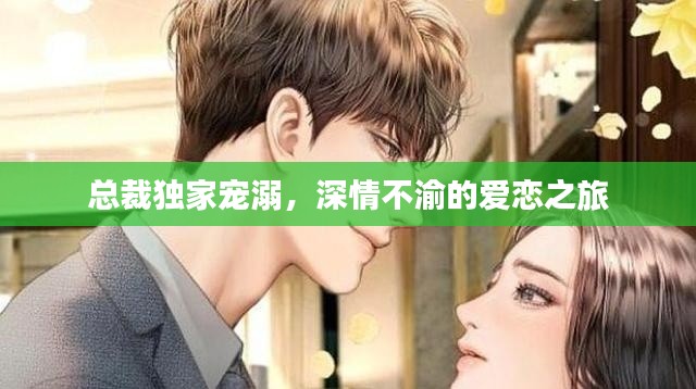總裁獨家寵溺，深情不渝的愛戀之旅