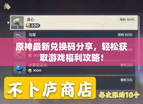 原神最新兌換碼分享，輕松獲取游戲福利攻略！
