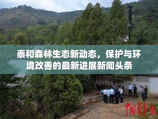 駕輕就熟