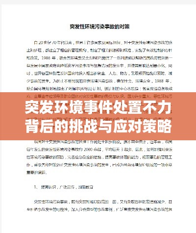 突發(fā)環(huán)境事件處置不力背后的挑戰(zhàn)與應(yīng)對(duì)策略