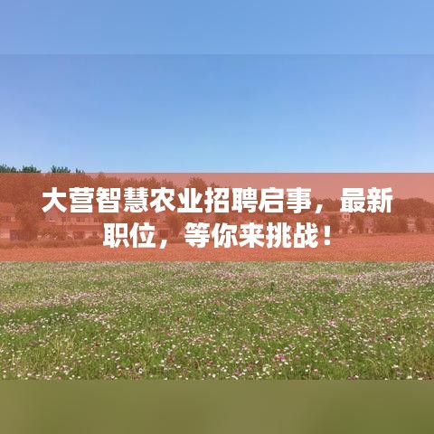 大營(yíng)智慧農(nóng)業(yè)招聘啟事，最新職位，等你來(lái)挑戰(zhàn)！