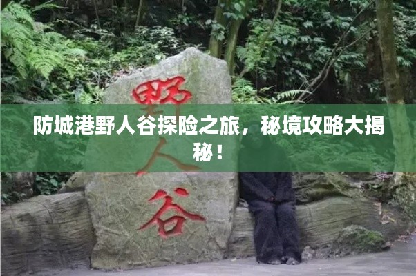 防城港野人谷探險(xiǎn)之旅，秘境攻略大揭秘！