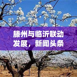 滕州與臨沂聯(lián)動發(fā)展，新聞頭條下的區(qū)域合作新篇章