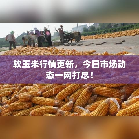 2025年6月 第19頁