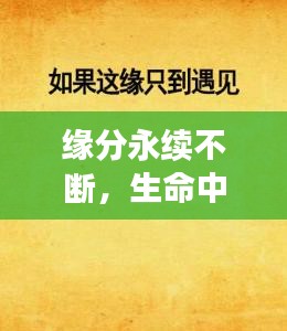 緣分永續(xù)不斷，生命中的奇妙相遇與心靈連結(jié)
