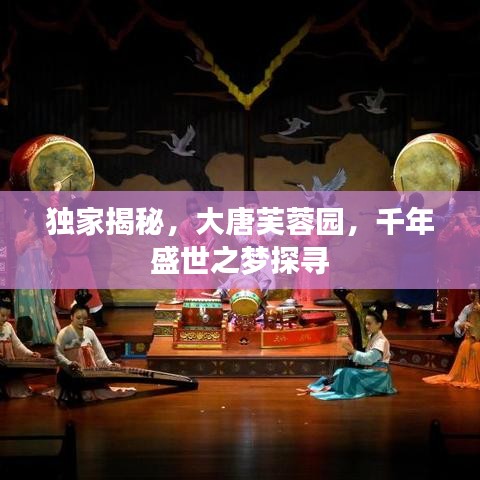 獨(dú)家揭秘，大唐芙蓉園，千年盛世之夢(mèng)探尋