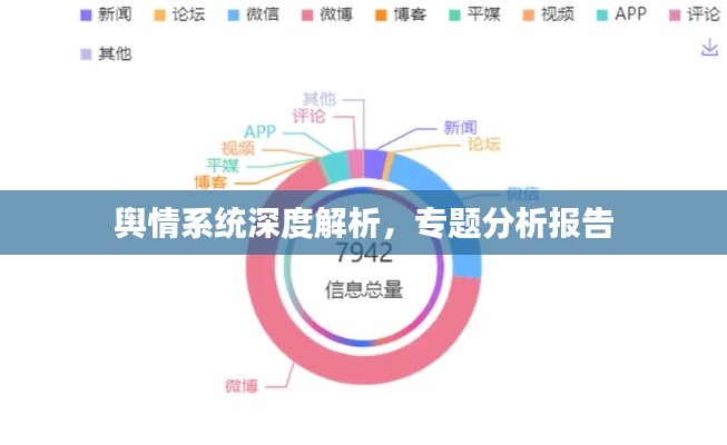 輿情系統(tǒng)深度解析，專題分析報(bào)告
