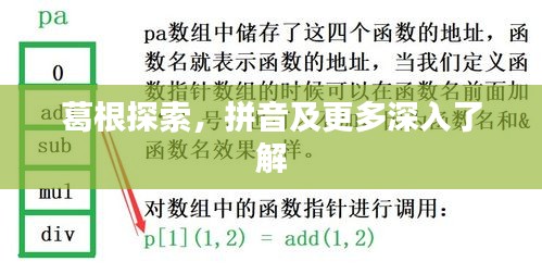 葛根探索，拼音及更多深入了解