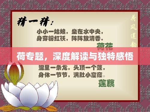 荷專題，深度解讀與獨(dú)特感悟