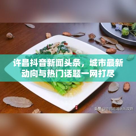 許昌抖音新聞?lì)^條，城市最新動(dòng)向與熱門(mén)話題一網(wǎng)打盡