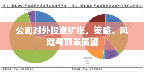 公司對(duì)外投資擴(kuò)張，策略、風(fēng)險(xiǎn)與前景展望