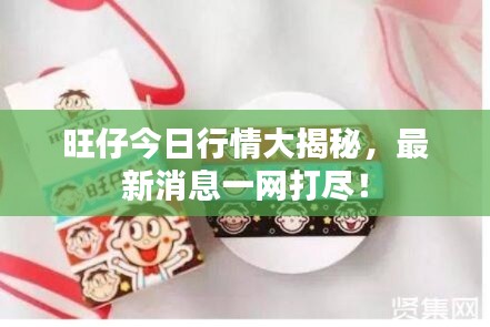 旺仔今日行情大揭秘，最新消息一網(wǎng)打盡！